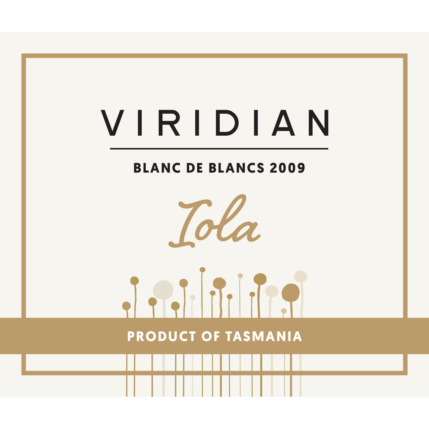 2009 ‘Iola’ Blanc de Blancs (Late Disgorged) 750mL